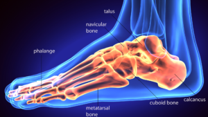 Sharp Pain in Arch of Foot