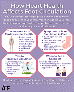 How Heart Health Affects Foot Circulation Infographic